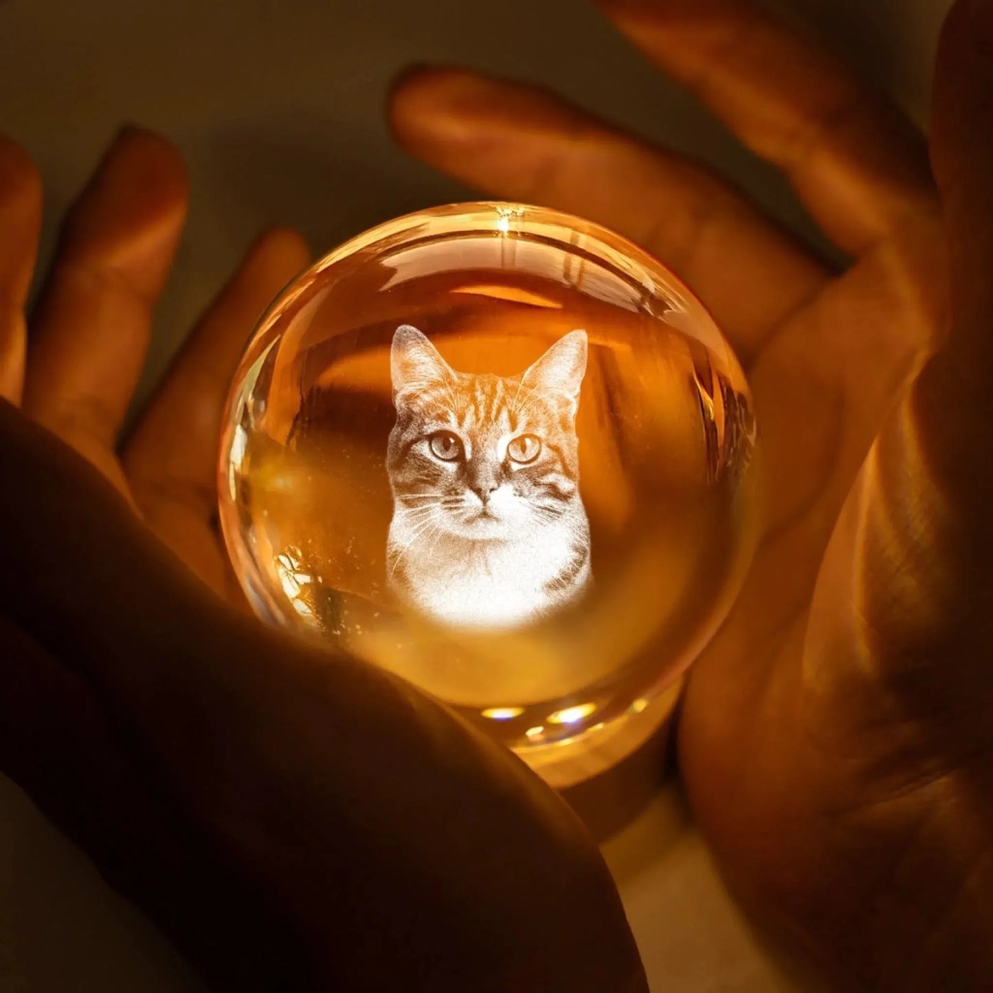 Personalized Pet Photo Crystal Ball Lamp – Custom 3D Laser Engraved Keepsake